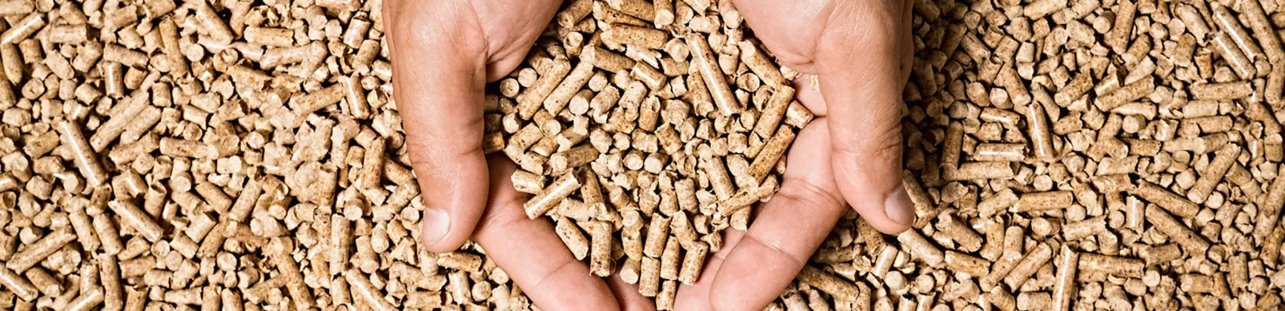 Hände greifen in Pellets, symbolisieren nachhaltige Wärmeversorgung mit Pelletsanlagen